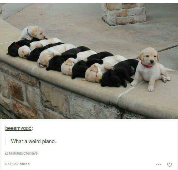 If You Are Having A Bad Day, These 80 Aww-Worthy Photos And Stories May Lift Your Spirits If You Are Having A Bad Day, These 80 Aww-Worthy Photos And Stories May Lift Your Spirits