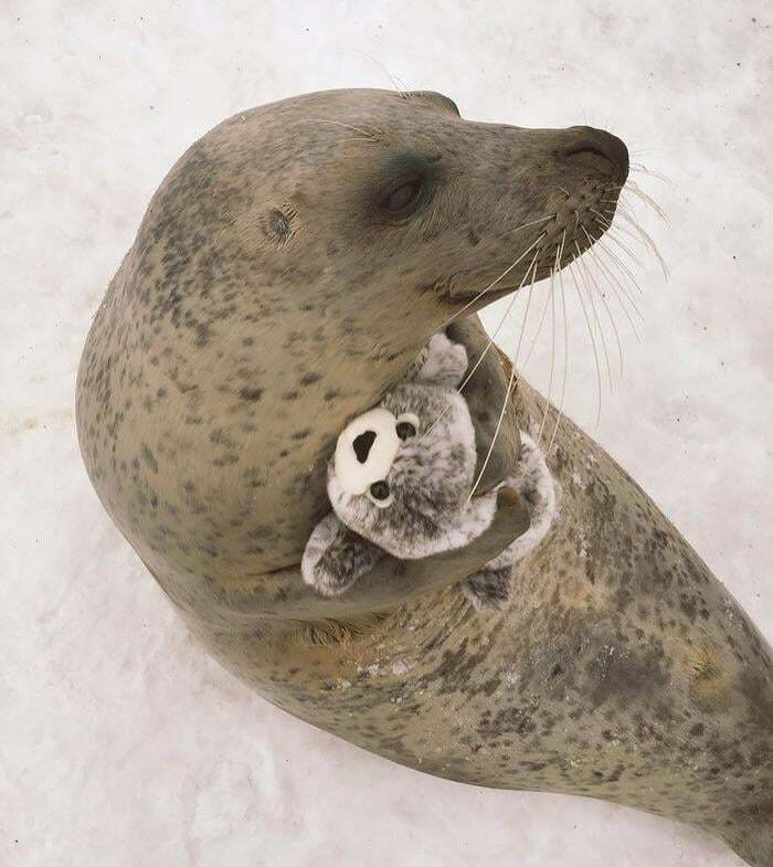 If You Are Having A Bad Day, These 80 Aww-Worthy Photos And Stories May Lift Your Spirits If You Are Having A Bad Day, These 80 Aww-Worthy Photos And Stories May Lift Your Spirits