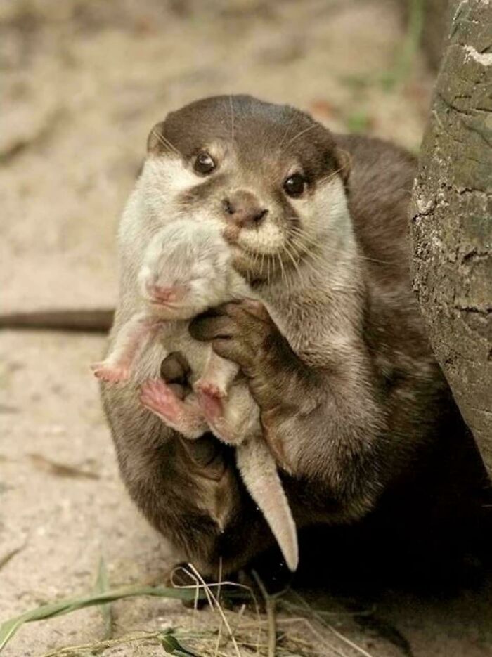 If You Are Having A Bad Day, These 80 Aww-Worthy Photos And Stories May Lift Your Spirits If You Are Having A Bad Day, These 80 Aww-Worthy Photos And Stories May Lift Your Spirits