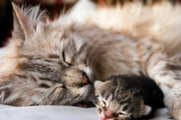 If You Are Having A Bad Day, These 80 Aww-Worthy Photos And Stories May Lift Your Spirits If You Are Having A Bad Day, These 80 Aww-Worthy Photos And Stories May Lift Your Spirits