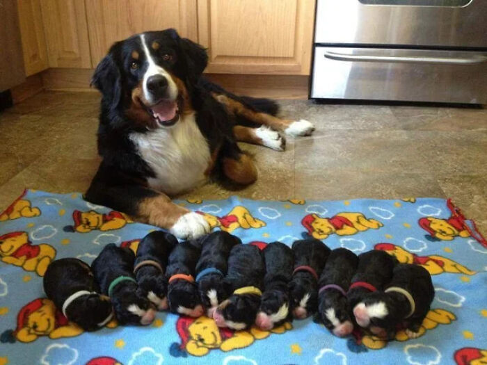 If You Are Having A Bad Day, These 80 Aww-Worthy Photos And Stories May Lift Your Spirits If You Are Having A Bad Day, These 80 Aww-Worthy Photos And Stories May Lift Your Spirits