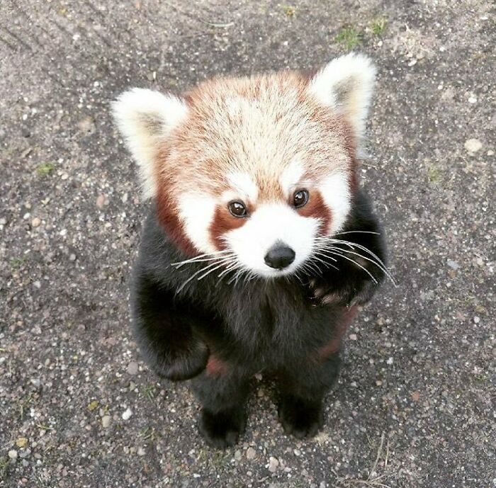 If You Are Having A Bad Day, These 80 Aww-Worthy Photos And Stories May Lift Your Spirits If You Are Having A Bad Day, These 80 Aww-Worthy Photos And Stories May Lift Your Spirits
