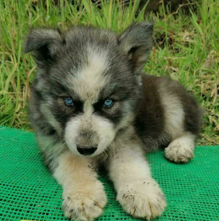 If You Are Having A Bad Day, These 80 Aww-Worthy Photos And Stories May Lift Your Spirits If You Are Having A Bad Day, These 80 Aww-Worthy Photos And Stories May Lift Your Spirits