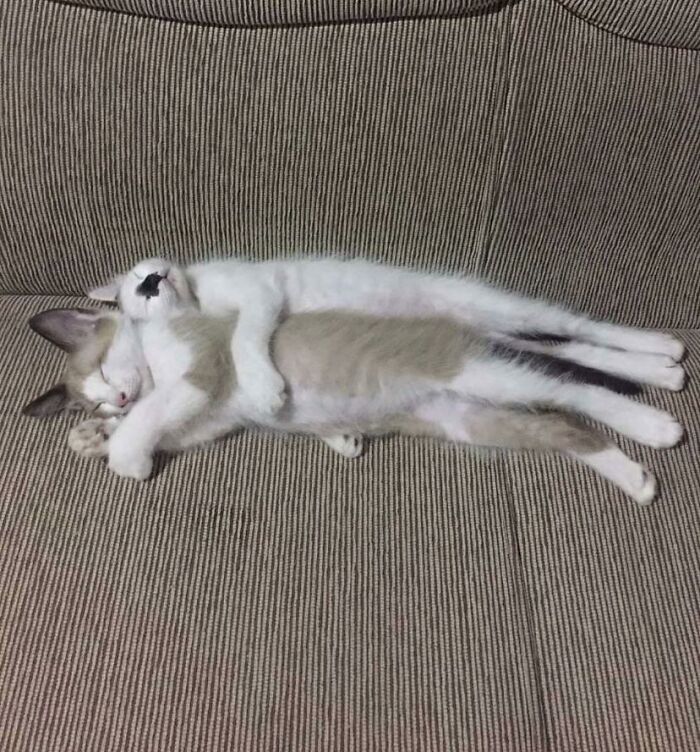 If You Are Having A Bad Day, These 80 Aww-Worthy Photos And Stories May Lift Your Spirits If You Are Having A Bad Day, These 80 Aww-Worthy Photos And Stories May Lift Your Spirits