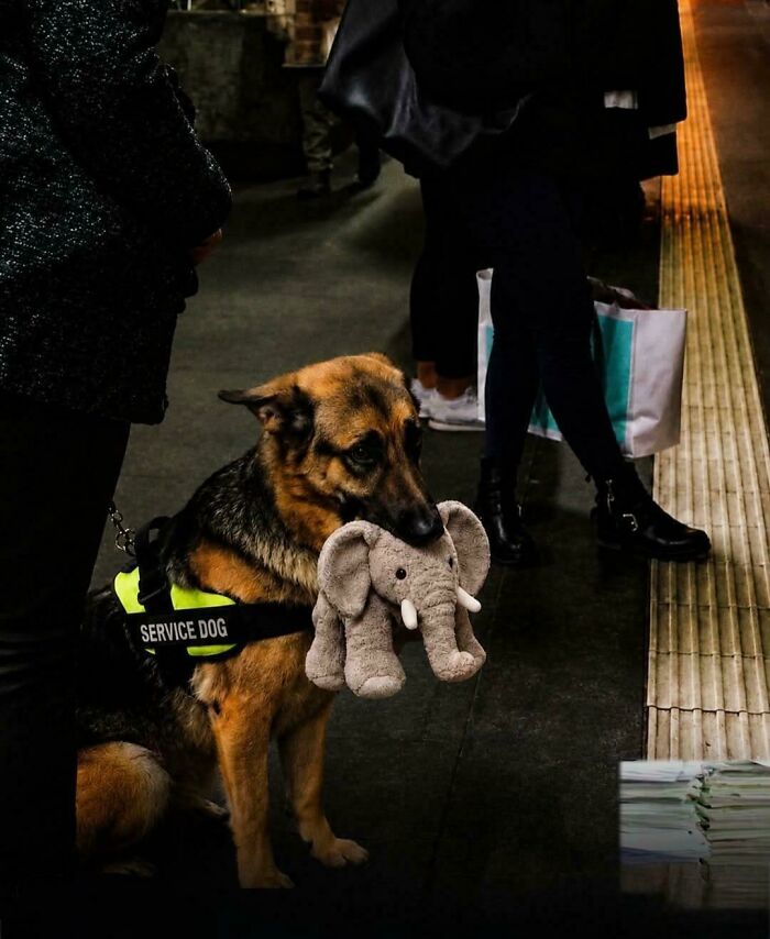 If You Are Having A Bad Day, These 80 Aww-Worthy Photos And Stories May Lift Your Spirits If You Are Having A Bad Day, These 80 Aww-Worthy Photos And Stories May Lift Your Spirits