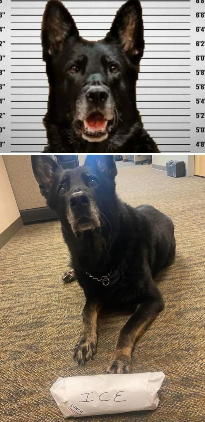 If You Are Having A Bad Day, These 80 Aww-Worthy Photos And Stories May Lift Your Spirits If You Are Having A Bad Day, These 80 Aww-Worthy Photos And Stories May Lift Your Spirits