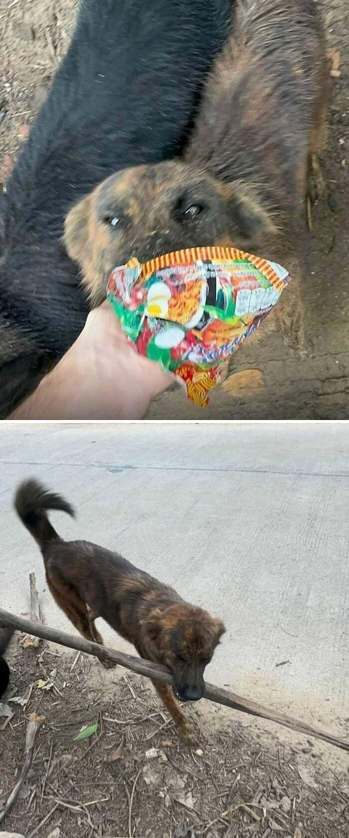 If You Are Having A Bad Day, These 80 Aww-Worthy Photos And Stories May Lift Your Spirits If You Are Having A Bad Day, These 80 Aww-Worthy Photos And Stories May Lift Your Spirits