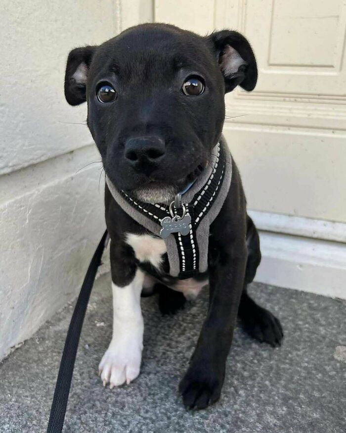 If You Are Having A Bad Day, These 80 Aww-Worthy Photos And Stories May Lift Your Spirits If You Are Having A Bad Day, These 80 Aww-Worthy Photos And Stories May Lift Your Spirits