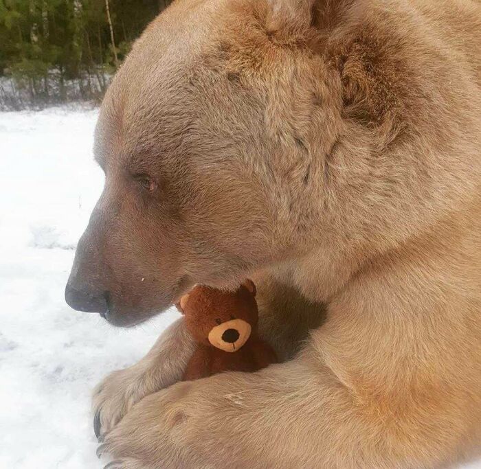 If You Are Having A Bad Day, These 80 Aww-Worthy Photos And Stories May Lift Your Spirits If You Are Having A Bad Day, These 80 Aww-Worthy Photos And Stories May Lift Your Spirits