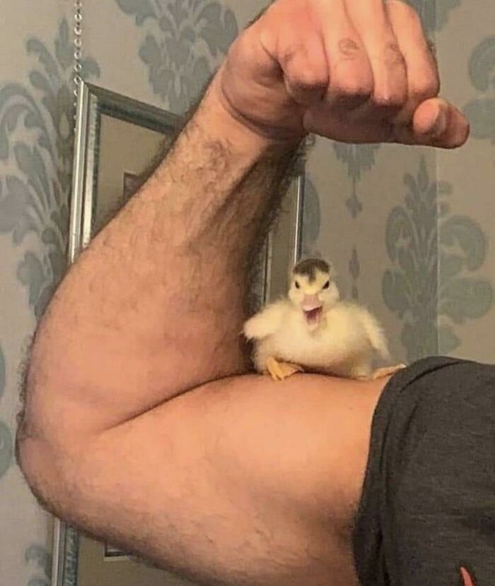 If You Are Having A Bad Day, These 80 Aww-Worthy Photos And Stories May Lift Your Spirits If You Are Having A Bad Day, These 80 Aww-Worthy Photos And Stories May Lift Your Spirits