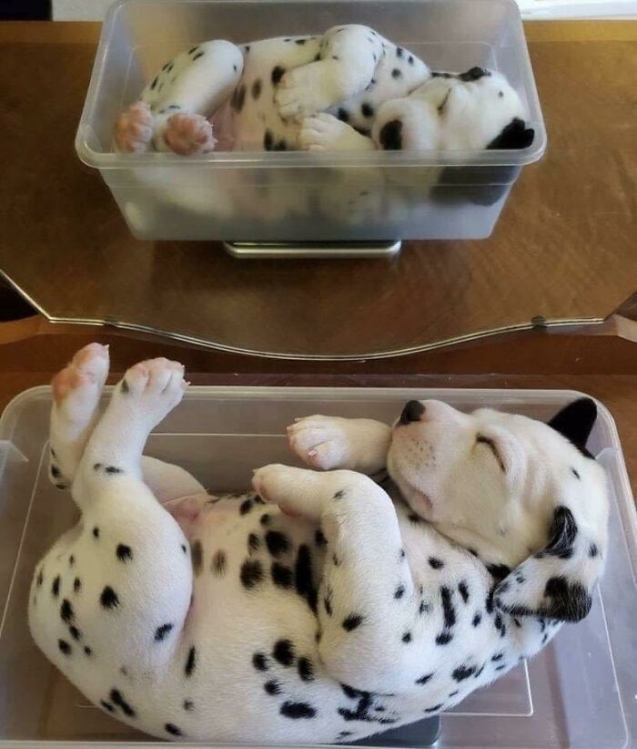 If You Are Having A Bad Day, These 80 Aww-Worthy Photos And Stories May Lift Your Spirits If You Are Having A Bad Day, These 80 Aww-Worthy Photos And Stories May Lift Your Spirits