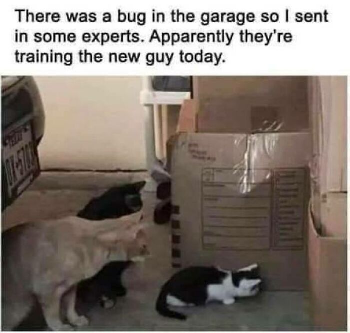 If You Are Having A Bad Day, These 80 Aww-Worthy Photos And Stories May Lift Your Spirits If You Are Having A Bad Day, These 80 Aww-Worthy Photos And Stories May Lift Your Spirits