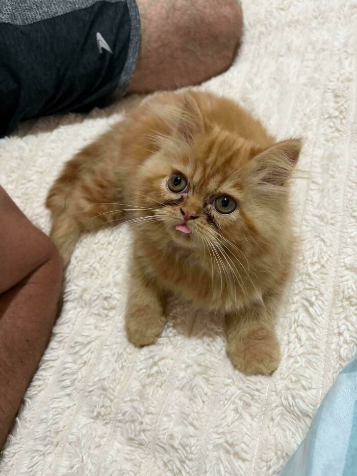 If You Are Having A Bad Day, These 80 Aww-Worthy Photos And Stories May Lift Your Spirits If You Are Having A Bad Day, These 80 Aww-Worthy Photos And Stories May Lift Your Spirits