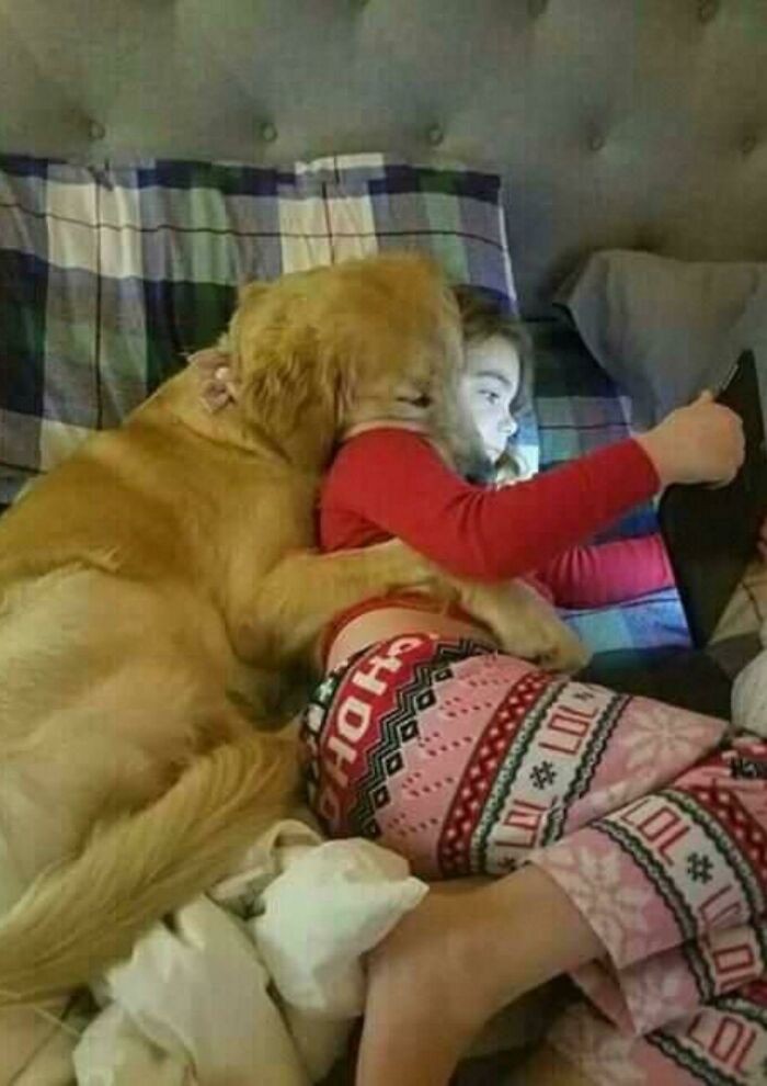 If You Are Having A Bad Day, These 80 Aww-Worthy Photos And Stories May Lift Your Spirits If You Are Having A Bad Day, These 80 Aww-Worthy Photos And Stories May Lift Your Spirits