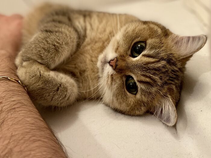 If You Are Having A Bad Day, These 80 Aww-Worthy Photos And Stories May Lift Your Spirits If You Are Having A Bad Day, These 80 Aww-Worthy Photos And Stories May Lift Your Spirits