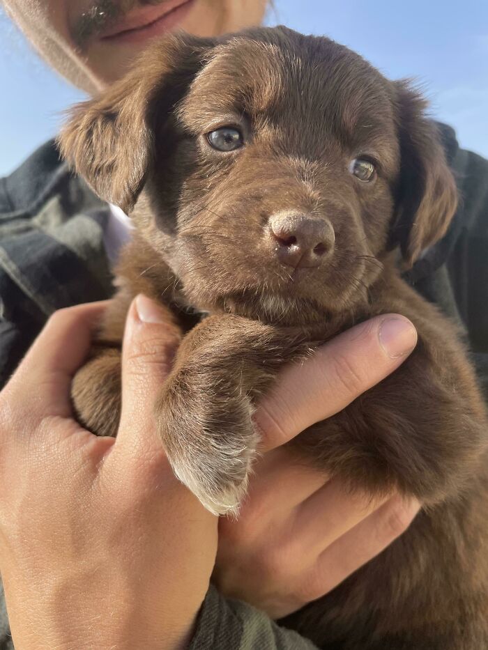 If You Are Having A Bad Day, These 80 Aww-Worthy Photos And Stories May Lift Your Spirits If You Are Having A Bad Day, These 80 Aww-Worthy Photos And Stories May Lift Your Spirits