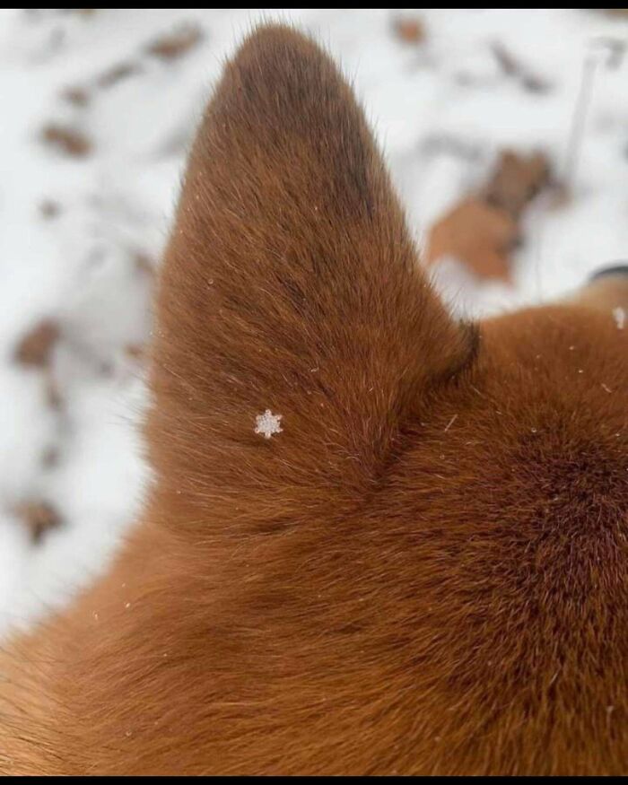 If You Are Having A Bad Day, These 80 Aww-Worthy Photos And Stories May Lift Your Spirits If You Are Having A Bad Day, These 80 Aww-Worthy Photos And Stories May Lift Your Spirits