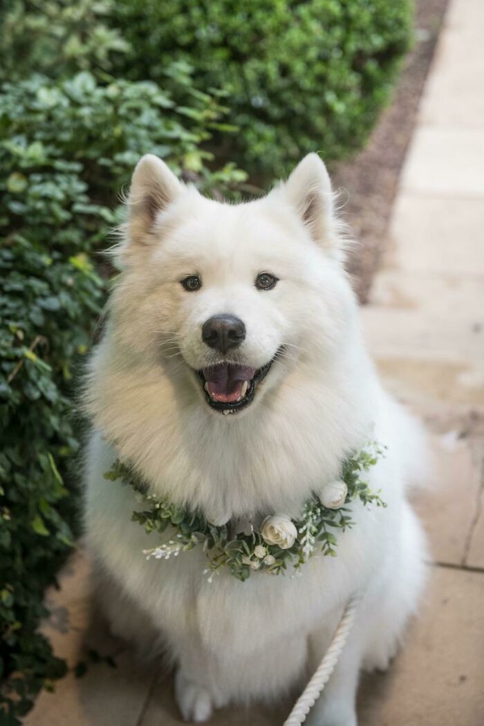 If You Are Having A Bad Day, These 80 Aww-Worthy Photos And Stories May Lift Your Spirits If You Are Having A Bad Day, These 80 Aww-Worthy Photos And Stories May Lift Your Spirits