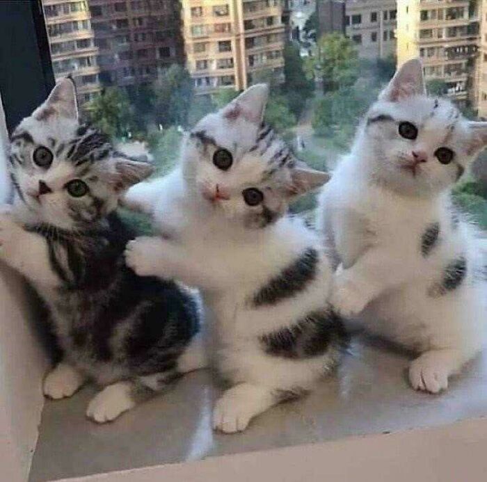 If You Are Having A Bad Day, These 80 Aww-Worthy Photos And Stories May Lift Your Spirits If You Are Having A Bad Day, These 80 Aww-Worthy Photos And Stories May Lift Your Spirits