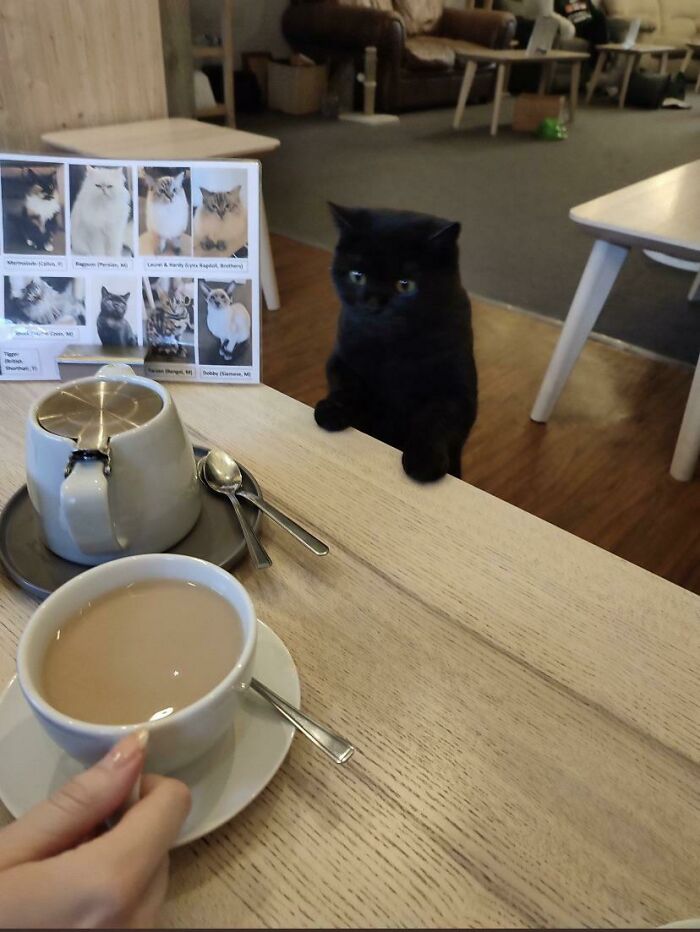 If You Are Having A Bad Day, These 80 Aww-Worthy Photos And Stories May Lift Your Spirits If You Are Having A Bad Day, These 80 Aww-Worthy Photos And Stories May Lift Your Spirits