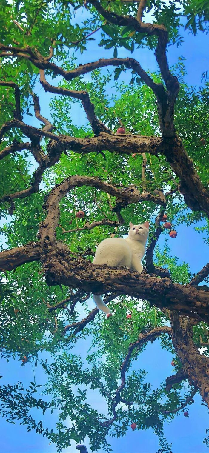 If You Are Having A Bad Day, These 80 Aww-Worthy Photos And Stories May Lift Your Spirits If You Are Having A Bad Day, These 80 Aww-Worthy Photos And Stories May Lift Your Spirits