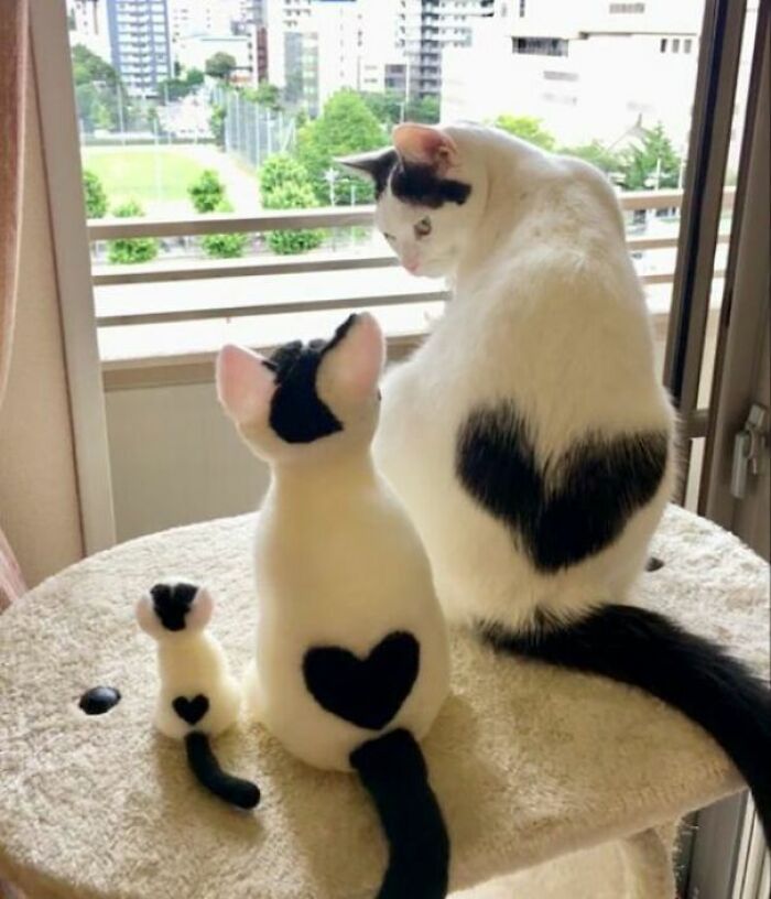 If You Are Having A Bad Day, These 80 Aww-Worthy Photos And Stories May Lift Your Spirits If You Are Having A Bad Day, These 80 Aww-Worthy Photos And Stories May Lift Your Spirits