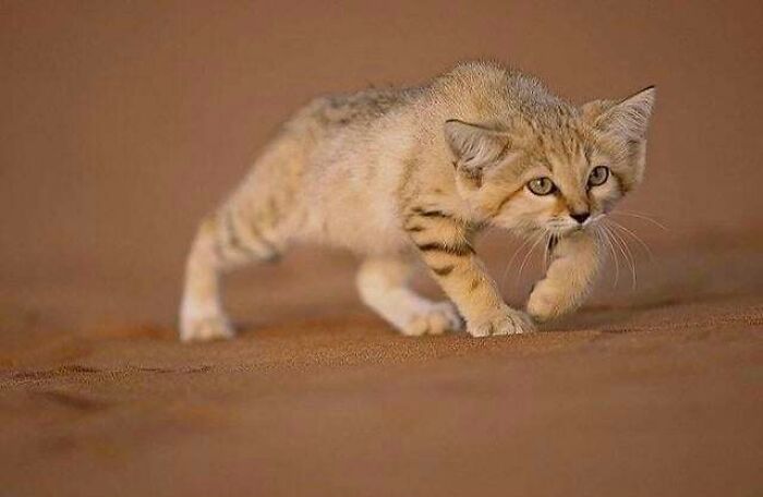 If You Are Having A Bad Day, These 80 Aww-Worthy Photos And Stories May Lift Your Spirits If You Are Having A Bad Day, These 80 Aww-Worthy Photos And Stories May Lift Your Spirits