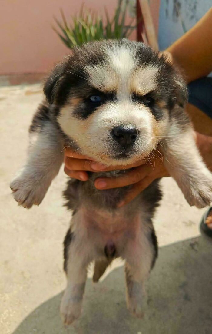 If You Are Having A Bad Day, These 80 Aww-Worthy Photos And Stories May Lift Your Spirits If You Are Having A Bad Day, These 80 Aww-Worthy Photos And Stories May Lift Your Spirits