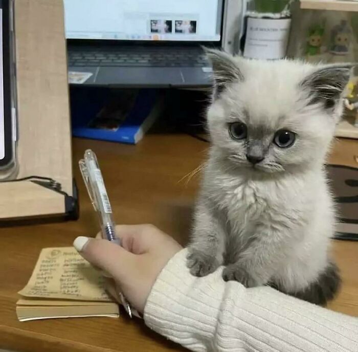 If You Are Having A Bad Day, These 80 Aww-Worthy Photos And Stories May Lift Your Spirits If You Are Having A Bad Day, These 80 Aww-Worthy Photos And Stories May Lift Your Spirits