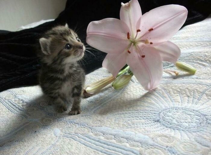 If You Are Having A Bad Day, These 80 Aww-Worthy Photos And Stories May Lift Your Spirits If You Are Having A Bad Day, These 80 Aww-Worthy Photos And Stories May Lift Your Spirits