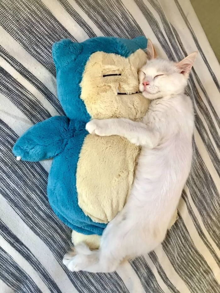 If You Are Having A Bad Day, These 80 Aww-Worthy Photos And Stories May Lift Your Spirits If You Are Having A Bad Day, These 80 Aww-Worthy Photos And Stories May Lift Your Spirits