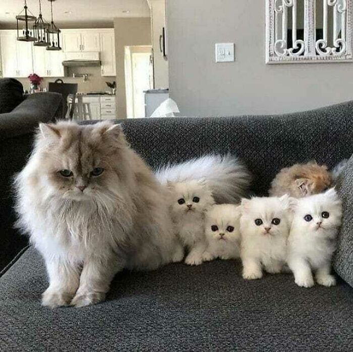 If You Are Having A Bad Day, These 80 Aww-Worthy Photos And Stories May Lift Your Spirits If You Are Having A Bad Day, These 80 Aww-Worthy Photos And Stories May Lift Your Spirits