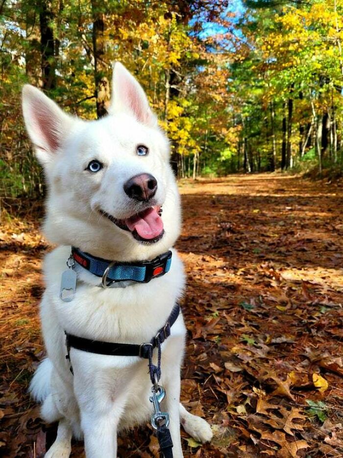 If You Are Having A Bad Day, These 80 Aww-Worthy Photos And Stories May Lift Your Spirits If You Are Having A Bad Day, These 80 Aww-Worthy Photos And Stories May Lift Your Spirits
