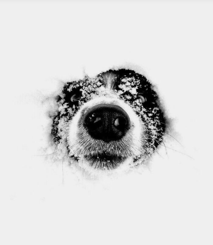 If You Are Having A Bad Day, These 80 Aww-Worthy Photos And Stories May Lift Your Spirits If You Are Having A Bad Day, These 80 Aww-Worthy Photos And Stories May Lift Your Spirits