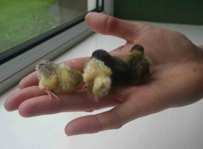 If You Are Having A Bad Day, These 80 Aww-Worthy Photos And Stories May Lift Your Spirits If You Are Having A Bad Day, These 80 Aww-Worthy Photos And Stories May Lift Your Spirits