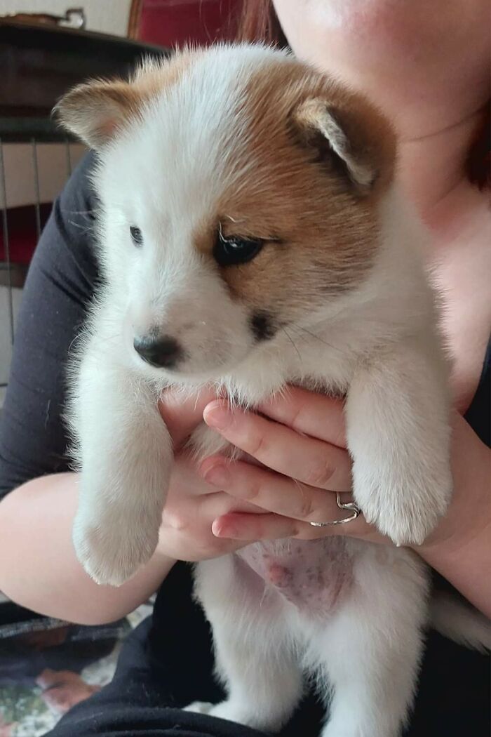If You Are Having A Bad Day, These 80 Aww-Worthy Photos And Stories May Lift Your Spirits If You Are Having A Bad Day, These 80 Aww-Worthy Photos And Stories May Lift Your Spirits