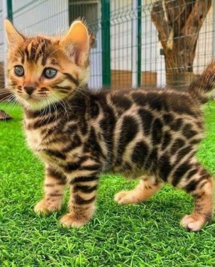 If You Are Having A Bad Day, These 80 Aww-Worthy Photos And Stories May Lift Your Spirits If You Are Having A Bad Day, These 80 Aww-Worthy Photos And Stories May Lift Your Spirits