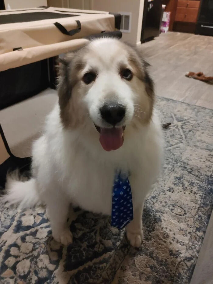 If You Are Having A Bad Day, These 80 Aww-Worthy Photos And Stories May Lift Your Spirits If You Are Having A Bad Day, These 80 Aww-Worthy Photos And Stories May Lift Your Spirits