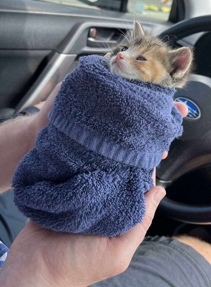 If You Are Having A Bad Day, These 80 Aww-Worthy Photos And Stories May Lift Your Spirits If You Are Having A Bad Day, These 80 Aww-Worthy Photos And Stories May Lift Your Spirits