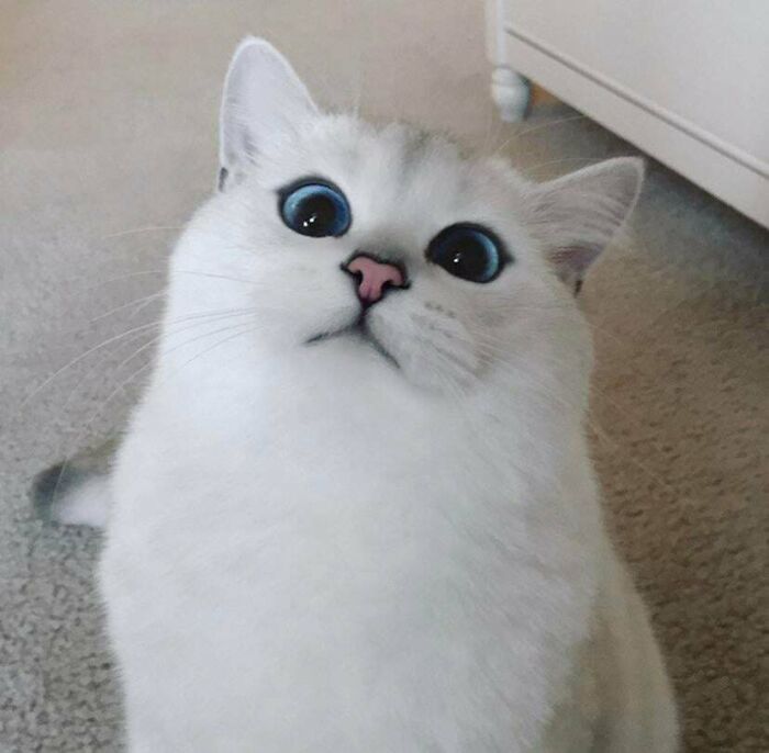 If You Are Having A Bad Day, These 80 Aww-Worthy Photos And Stories May Lift Your Spirits If You Are Having A Bad Day, These 80 Aww-Worthy Photos And Stories May Lift Your Spirits