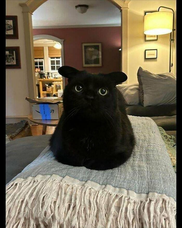 If You Are Having A Bad Day, These 80 Aww-Worthy Photos And Stories May Lift Your Spirits If You Are Having A Bad Day, These 80 Aww-Worthy Photos And Stories May Lift Your Spirits