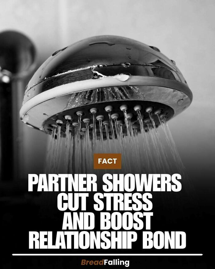 63 Interesting Facts To Make Your Scrolling Feel More Productive 63 Interesting Facts To Make Your Scrolling Feel More Productive