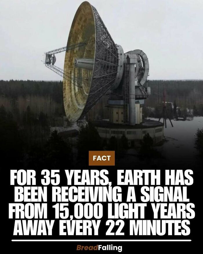 63 Interesting Facts To Make Your Scrolling Feel More Productive 63 Interesting Facts To Make Your Scrolling Feel More Productive