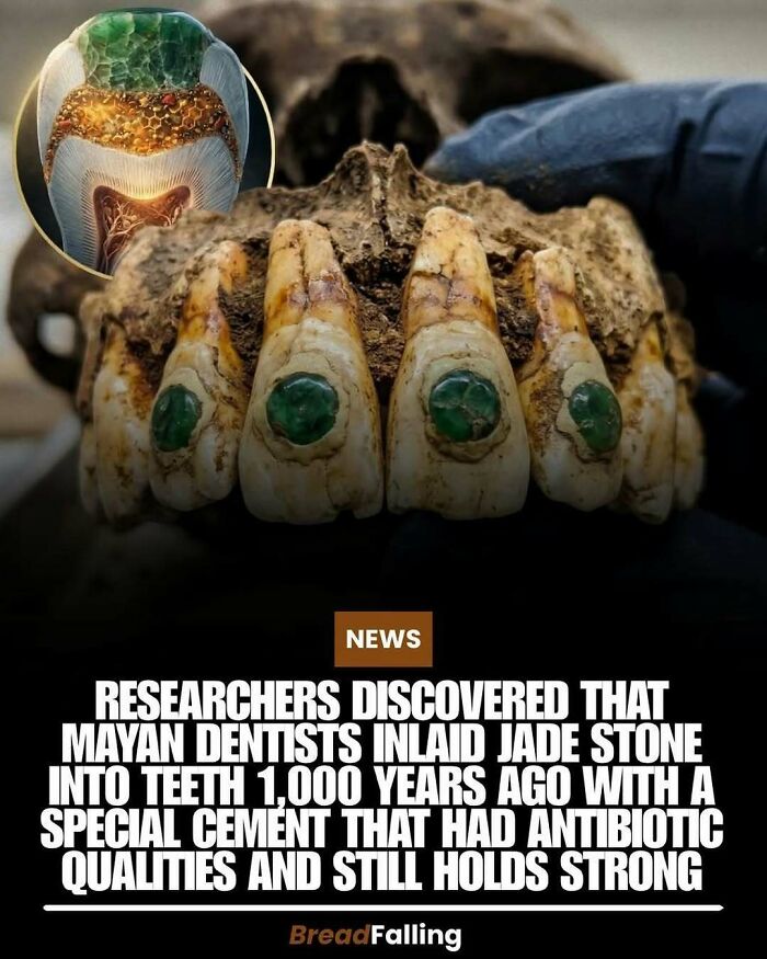 63 Interesting Facts To Make Your Scrolling Feel More Productive 63 Interesting Facts To Make Your Scrolling Feel More Productive