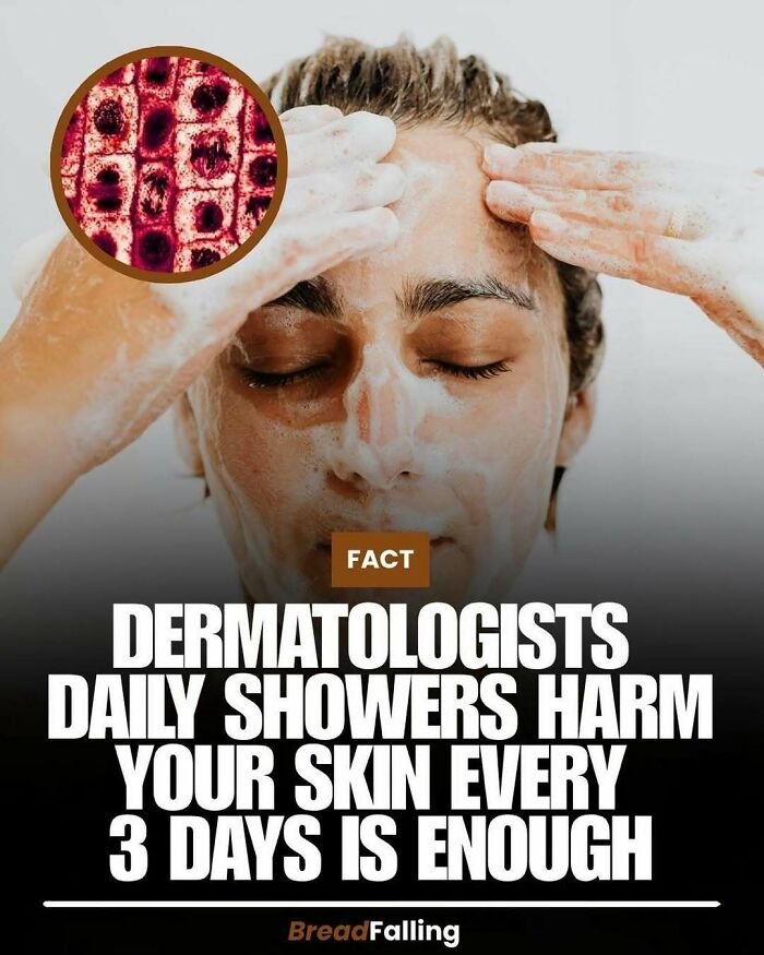 63 Interesting Facts To Make Your Scrolling Feel More Productive 63 Interesting Facts To Make Your Scrolling Feel More Productive