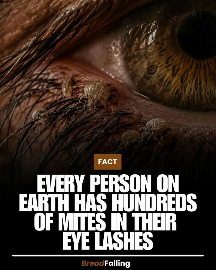 63 Interesting Facts To Make Your Scrolling Feel More Productive 63 Interesting Facts To Make Your Scrolling Feel More Productive
