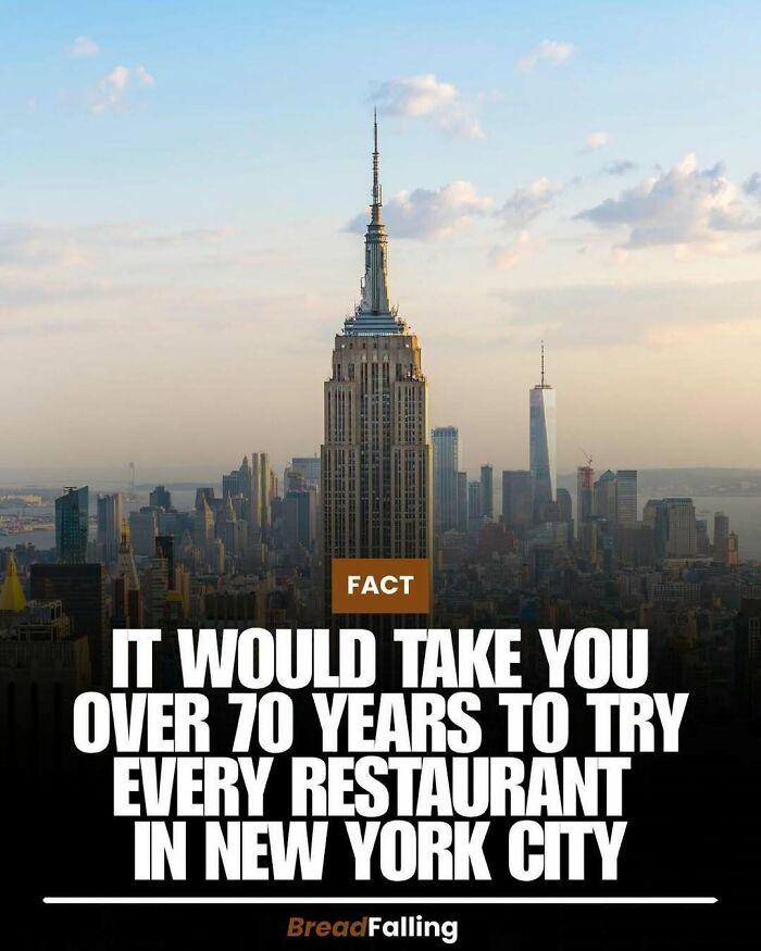 63 Interesting Facts To Make Your Scrolling Feel More Productive 63 Interesting Facts To Make Your Scrolling Feel More Productive