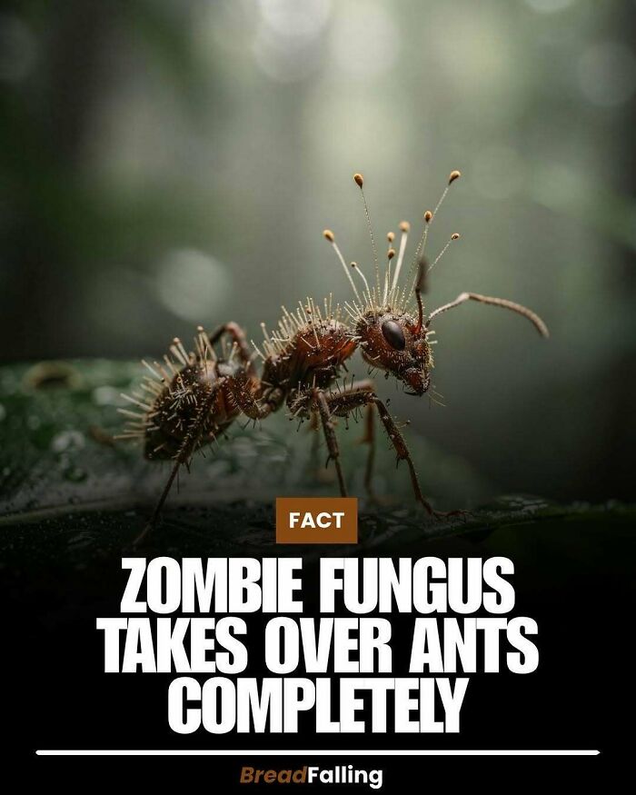 63 Interesting Facts To Make Your Scrolling Feel More Productive 63 Interesting Facts To Make Your Scrolling Feel More Productive