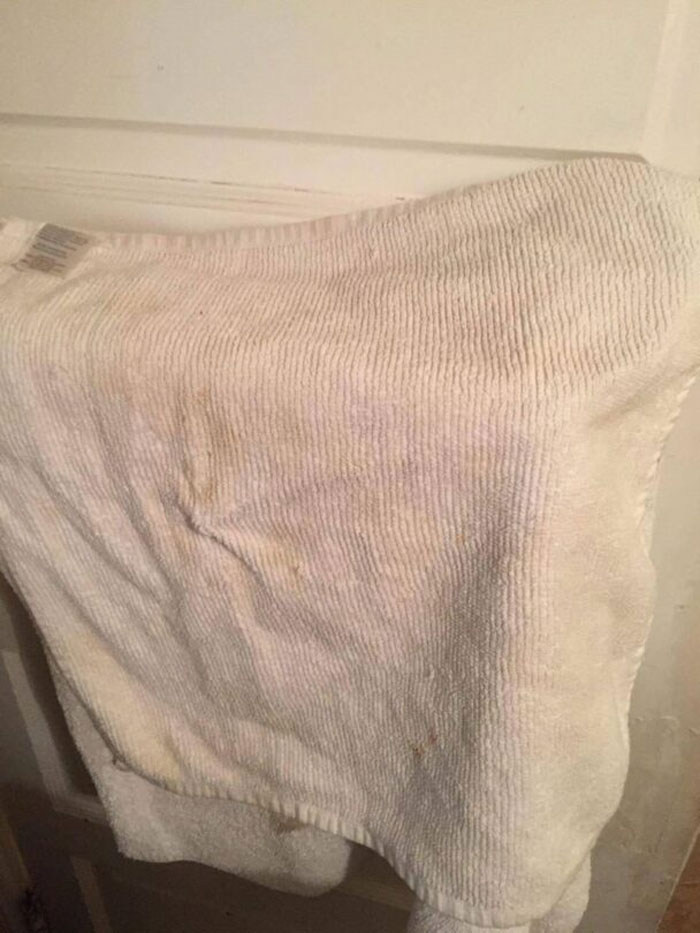 60 Airbnb Blunders That Might Have You Booking A Boring Hotel Room Instead