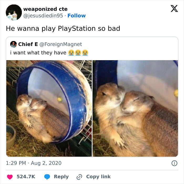 35 Hilarious Memes And Roasts That You Might Not Have Been Prepared For Today